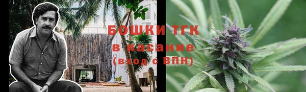 дурь Алзамай