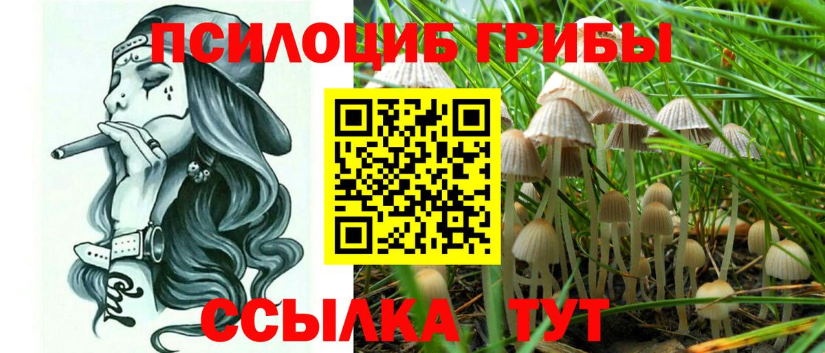 Галлюциногенные грибы Magic Shrooms  Вход с VPN  Кудрово 