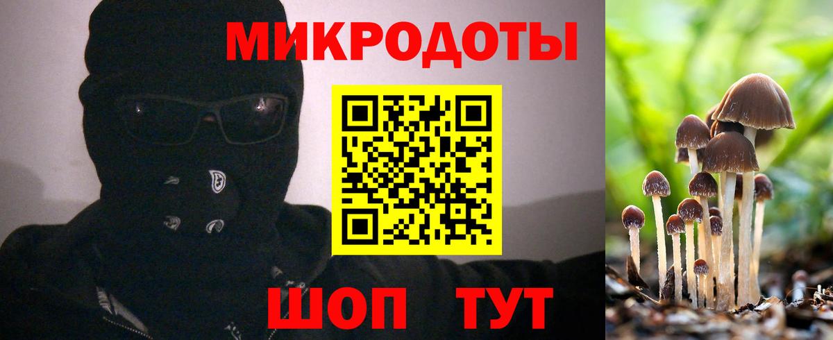 Галлюциногенные грибы прущие грибы Кудрово
